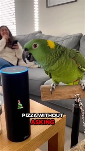 🦜💥 Parrot ROASTS Alexa: “That’s Why Your Boyfriend Left You for Siri!” 😂 | Real Shock Lens