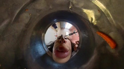 carttitan (@carttitan360)’s videos with original sound - carttitan