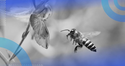 How to Solve FizzBuzz: 5 Ways in R | Built In