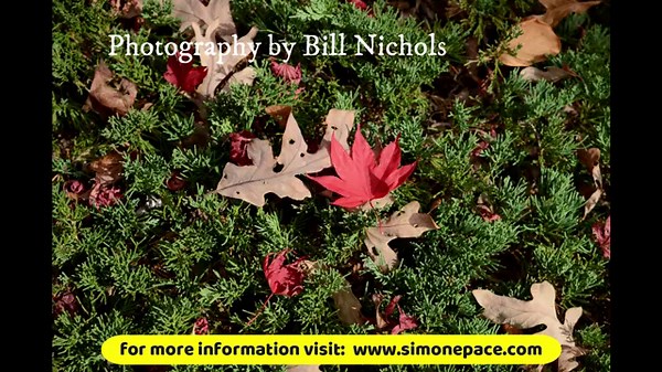 Video #5 Practice Music to accompany Basic Clog Dance Steps Level One