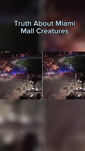 #AlienEncounter at Miami Mall: Mysterious Creatures & Chaos Unleashed