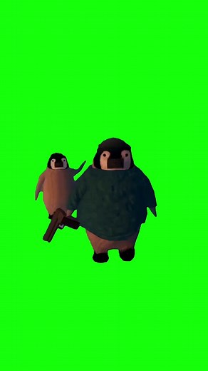 Penguin Beating Up Another Penguin | Green Screen #penguin #meme #relationship #memes #viral #fight #fyp