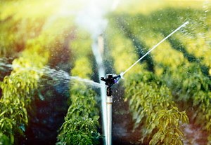 How to Call a PHP Function From JavaScript | Envato Tuts