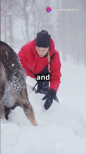 Meet the Heroic Police Dogs!