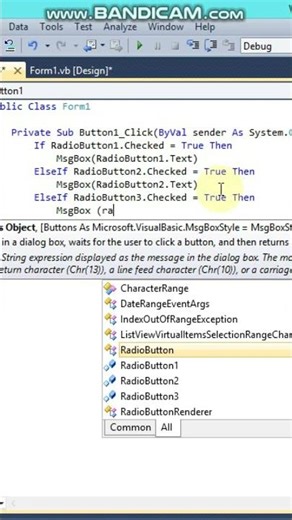 How to use RadioButton in VB.Net