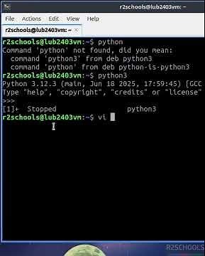 Run Python Scripts Like a Pro on Linux Terminal | Step-by-Step Guide for Beginners