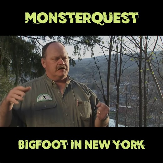 72K views · 1.3K reactions | MonsterQuest - Bigfoot In New York | Bigfoot Crossroads Podcast | Facebook