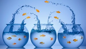 Polymorphism In Programming