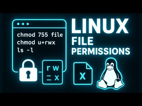 Chmod & Linux File Permissions | Read, Write, Execute & Numeric Permissions