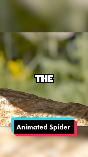 Animating Spider's Legs Tutorial: Unity Game Development