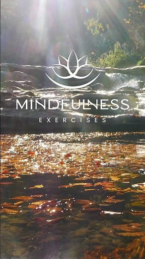 Guided Mindfulness Meditation Practice with Sharon Salzberg