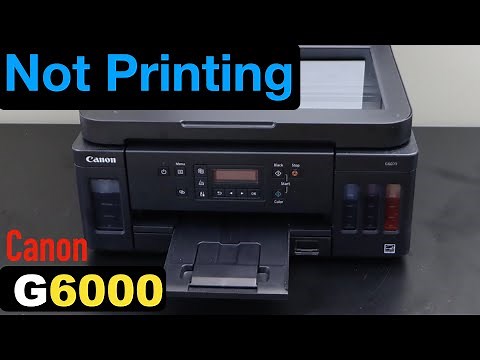 Canon G6000 Not printing !!