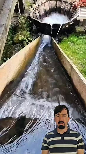 20K views · 117 reactions | Wood washing machine | Curiosity of Junior | Facebook