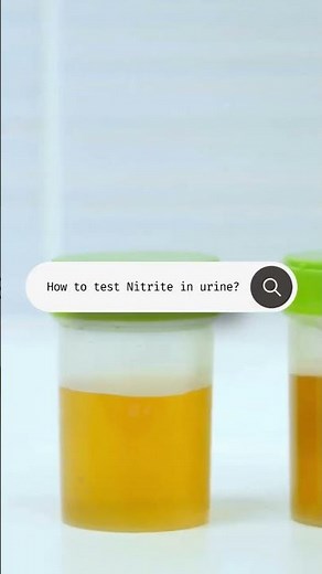 What is Nitrite in Urine?