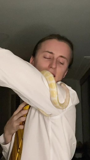 … know about cameras? #hufflepuff #slytherin #hpbrasil #snake #python #trending