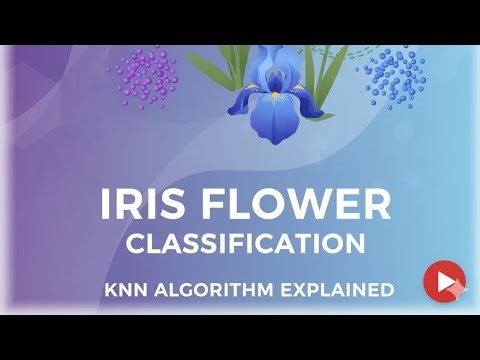Iris flower classification (KNN)