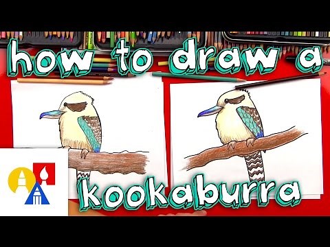 How To Draw A Kookaburra