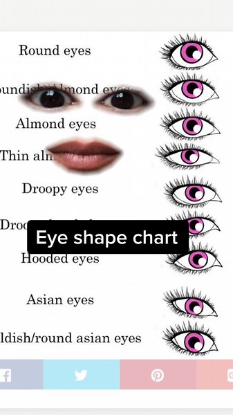 Discover Your Eye Shape with This Helpful Eye Shape Chart