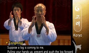 List of Taekwondo Black Belt Forms - Instructions & Videos - Black Belt Wiki