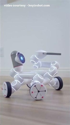 Why the ClicBot Is the Best Educational Robot for Beginners