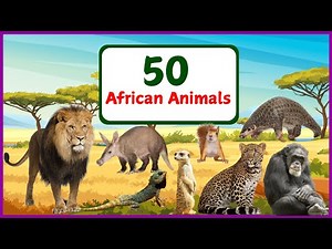 50 African Animals For Kids | Learning African Animal Names For children | Wild Animal Names