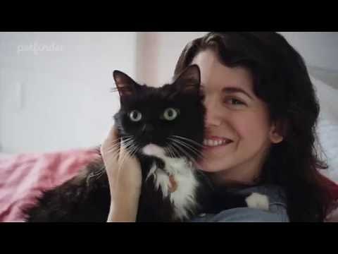 Petfinder - Celebrating 20 Years and 25 Million Adopted Pets