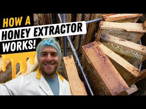 How A Honey Extractor Works. Honey Harvesting