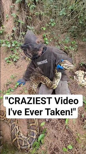 CRAZIEST PYTHON VIDEO IN THE WORLD! #python #snake #shorts #wildlife #nature #dangerous #herping