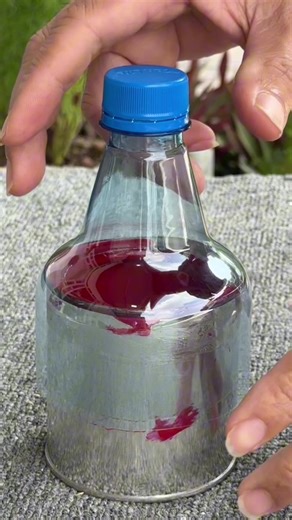 Effective Paint Storage Tips for DIY Projects