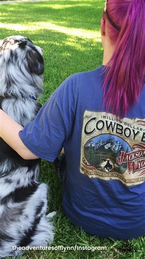 41K views · 175 reactions | It's important to remember that service dogs play an important role in their owner's life. #servicedog | LittleThings | Facebook