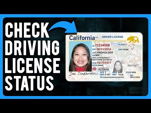 How to Check Your Driver's License Status