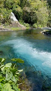 1.4M views · 46K reactions | Así nace el agua de un río  #naturaleza | Hecho En Los Tuxtlas | Facebook