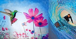 The Big New Features in Photoshop Elements and Premiere Elements 2024