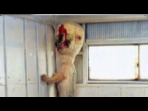 SCP-173 (Roblox Play-Through)