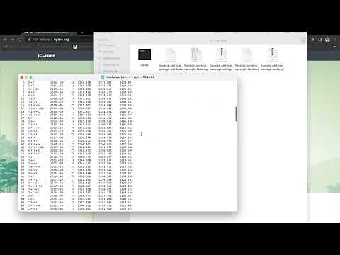IQTree Tutorial - Beginner