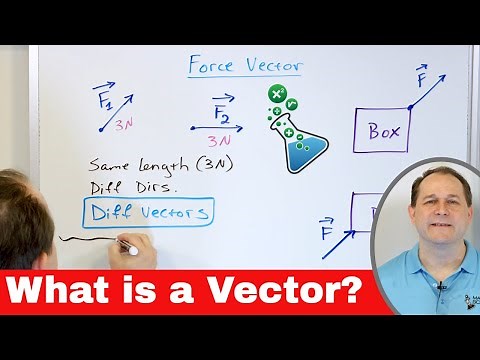 What is a Vector? Definition & Examples in Physics