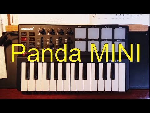 Panda MINI Setup