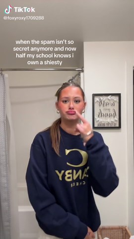 Navigating Post-Viral Content Strategies on Social Media