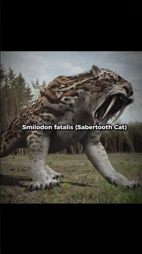 You Wouldn't Survive 10 Seconds In The Ice Age...💀