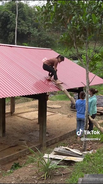 Harvesting Fresh Produce from My Garden