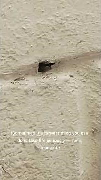 10 inspirational movie quotes from Austin Powers International Man of Mystery