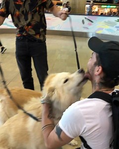 14K views · 1.2K reactions | Reunited after 3.5 months ❤️ | Dennis Lloyd | Facebook