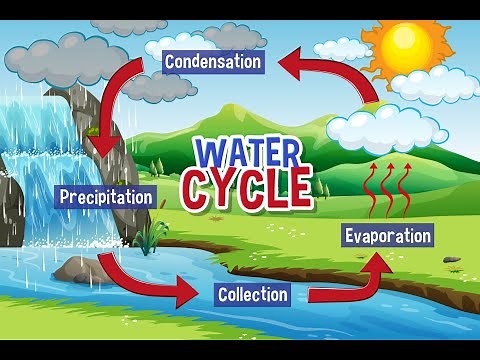 how the water cycle works | hydrological cycle explained