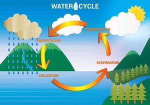 What is the Water Cycle in Ecology? Diagram, Steps and Facts