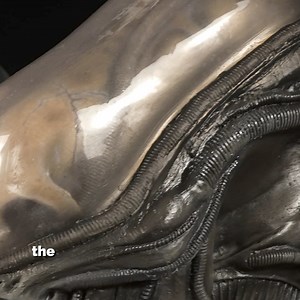 1.3K views · 140 reactions | Unmatched detail and quality—our Xenomorph mask is crafted from the original mold! Cast from the original Giger's Alien Xenomorph mold - this Collector's Grade Replica Alien Xenomorph mask made in collaboration with Distortions Unlimited - Official is what Alien collectors have been waiting for! Only a limited quanitity was produced - so you better act quick to score this one of a kind piece! | HalloweenCostumes.com | Facebook