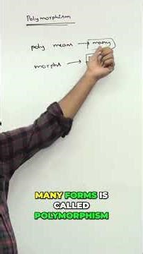 Polymorphism: Understand the Concept with Easy Examples #shorts