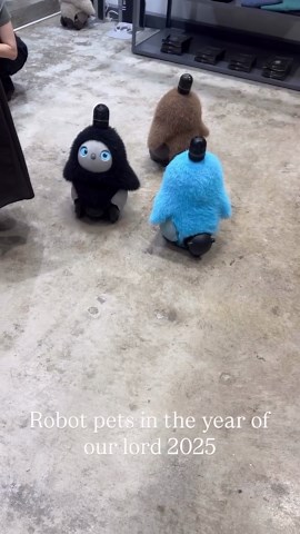 Meet Robot Pets With Us!