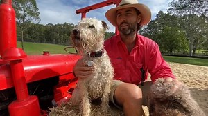 56K views · 5.1K reactions | Farm Dogs in the Spotlight... Today we...