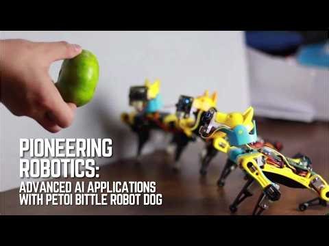 Top 5 AI Robot Dog Projects: ChatGPT, YOLO & Raspberry Pi (Petoi Bittle)