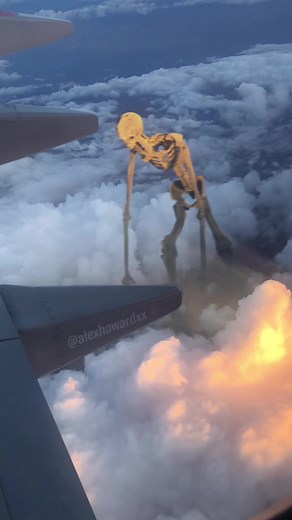 Where is he going? #monster | monster